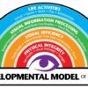 Developmental model of vision