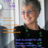 Whispers of Color: Finding Hue Within You and Seeing Colors in a Different Way with Sue Elizabeth Lee (Episode #162) Sue Elizabeth Lee 2 - Vision Beyond Sight with Dr. Lynn Hellerstein